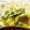 ＷａＴヒロコロ's cooksnap of when they made もずくときゅうりの和え物♪.