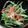 こざざざざ's cooksnap of when they made ５分で副菜☆水菜のさっと煮.
