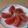 きらり流れ星's cooksnap of when they made 新玉ねぎ・トマト・塩昆布の簡単サラダ♪.