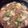 そめさん堂's cooksnap of when they made 蕪と牛肉の炒め煮.