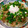 kirikri's cooksnap of when they made 我が家の豚丼 温玉のせ♪.