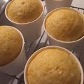 こすかめ's cooksnap of when they made HMで簡単！！人参蒸しケーキ♩.