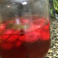 taylorsw's cooksnap of when they made ラディッシュのピクルス.