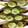 めるめるっちっち's cooksnap of when they made 空豆のさやごと焼き。色々試してみました！.
