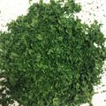 ママソン's cooksnap of when they made パセリの保存方法.