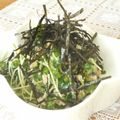 まゆみ母ちゃん's cooksnap of when they made ほうれん草とカイワレのツナサラダ♪.