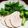 みかんぶどうばなな's cooksnap of when they made 簡単で美味しい♪手作り鶏ハム.