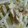ma___111's cooksnap of when they made ダイエットに！簡単ささみもやし.