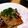 uowouﾉｼ's cooksnap of when they made ノンオイル♪焼き鯖の玉ねぎおろしソース.