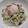 結衣のお母ちゃん's cooksnap of when they made 簡単！しらすたっぷり丼.