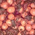 クックXUFIKX's cooksnap of when they made カリカリ♪小梅のシソ漬け.
