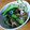 クックF83SV5☆'s cooksnap of when they made 定番❗️アサリのバター炒め♪.