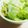あさここなっつ's cooksnap of when they made レタス消費！やみつき！ごまレタス.