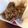 まめさち☆'s cooksnap of when they made きんぴらごぼうのリメイクに！ごぼ天.