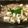 ESPERANSA's cooksnap of when they made きのこたっぷり麻婆豆腐。.