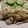 KENERISA's cooksnap of when they made 簡単♪チキンソテーのアボカドレモンソース.