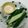 Makko327's cooksnap of when they made 味噌マヨきゅうり.