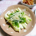 ＴＯＭＯＷＡＴ's cooksnap of when they made ＊夏はあっさり　蒸しなすの針生姜のせ＊.