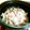 まっさまさママ's cooksnap of when they made 【農家のレシピ】もやしの無水しゃぶしゃぶ.