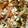 nonpi0126's cooksnap of when they made 豆腐の白和え.