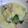 pyonkoちゃん's cooksnap of when they made ☆チンゲン菜のふわふわたまごあんかけ☆.