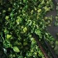 新米ママの時短飯's cooksnap of when they made 大根の葉のふりかけ.