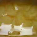なな1010's cooksnap of when they made しょうがの甘酢漬け.