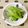 uzu1118's cooksnap of when they made スナップエンドウのごま酢和え.