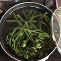 イシュタル☆'s cooksnap of when they made ワラビのあくぬき.