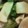 fumipekoe's cooksnap of when they made 節約食材で♪【簡単】かぶのとろ～り煮物★.