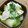 Jaye's cooksnap of when they made 豚バラと青梗菜の炒め物.