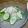 巻物限定's cooksnap of when they made 桜鯛のカルパッチョby浜のかあちゃん.