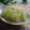 まろんかふぇ's cooksnap of when they made セロリのぱぱっとレモン風味ピクルス.