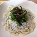 Mkk0969's cooksnap of when they made さっぱり♪しらすおろしぽん酢うどん.