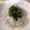Mkk0969's cooksnap of when they made さっぱり♪しらすおろしぽん酢うどん.