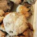 たぬきーまうす's cooksnap of when they made 簡単★あずきクッキー.