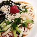 ☆ポコちゃん☆'s cooksnap of when they made 梅冷やしうどん＾＾.