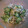 しろくまりん's cooksnap of when they made サバときゅうりと大根のサッパリ和え.