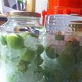 いぶきしょうご's cooksnap of when they made 定番！【簡単】自家製梅酒.