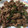 yukkiddr02's cooksnap of when they made にんにくの芽と牛肉のオイスターソース炒め.