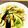 ハルモミ's cooksnap of when they made 生姜トマトで野菜たっぷり！ヘルシー冷麺.