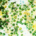 リラチエ's cooksnap of when they made 玉ねぎとツナ缶の卵とじ！.