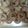 さねまさ's cooksnap of when they made 桜クッキー.