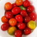 シビシビさん's cooksnap of when they made つるん♪トマトの湯剥き.
