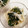 ☆ひぐま☆'s cooksnap of when they made もやしとワカメで簡単にもう１品！.