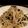 りらずきん's cooksnap of when they made 激安★海苔マヨもやし炒め！.