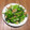 よこぴよん's cooksnap of when they made ♧小松菜と薄揚げ炒めておかかまぶっシー.