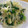 ぽんぷー's cooksnap of when they made 我が家の☆もやしとにらのナムル.