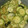 Wsalan's cooksnap of when they made きゅうりとワカメのクラゲ和え.