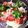 だい★さちママ's cooksnap of when they made ツナとトマトの冷製パスタ.